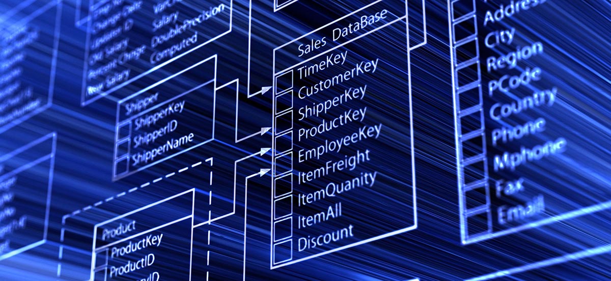 A Glossary or Terminology Database