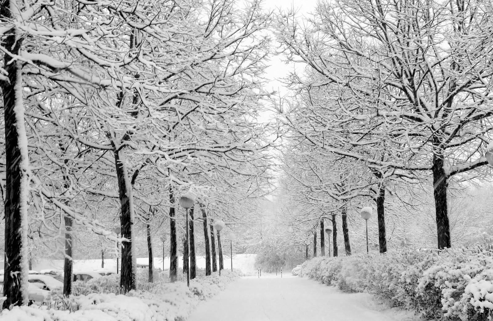 Common expressions used to talk about cold weather