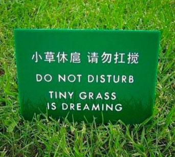 google translate fails resize md