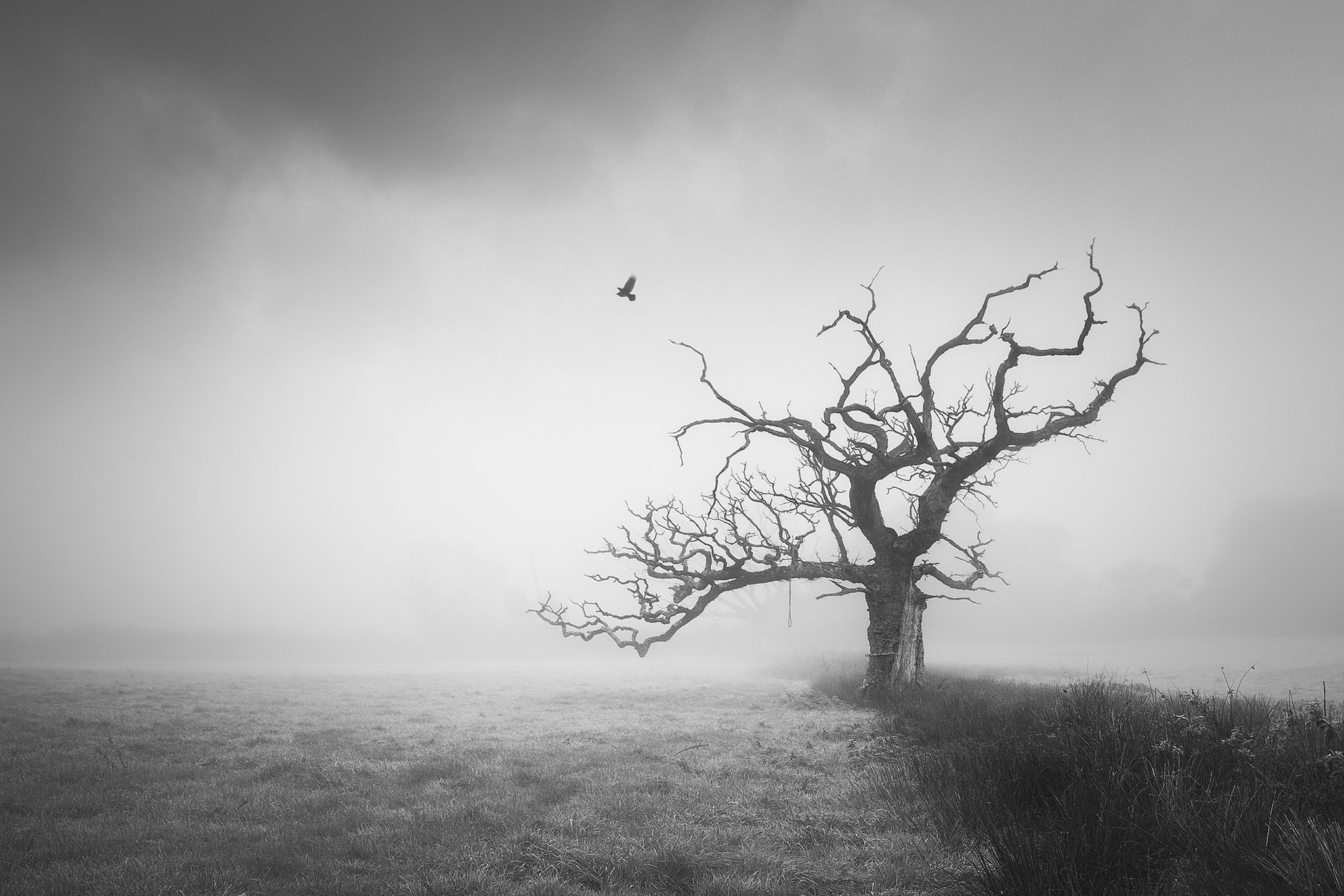 A Sinister History