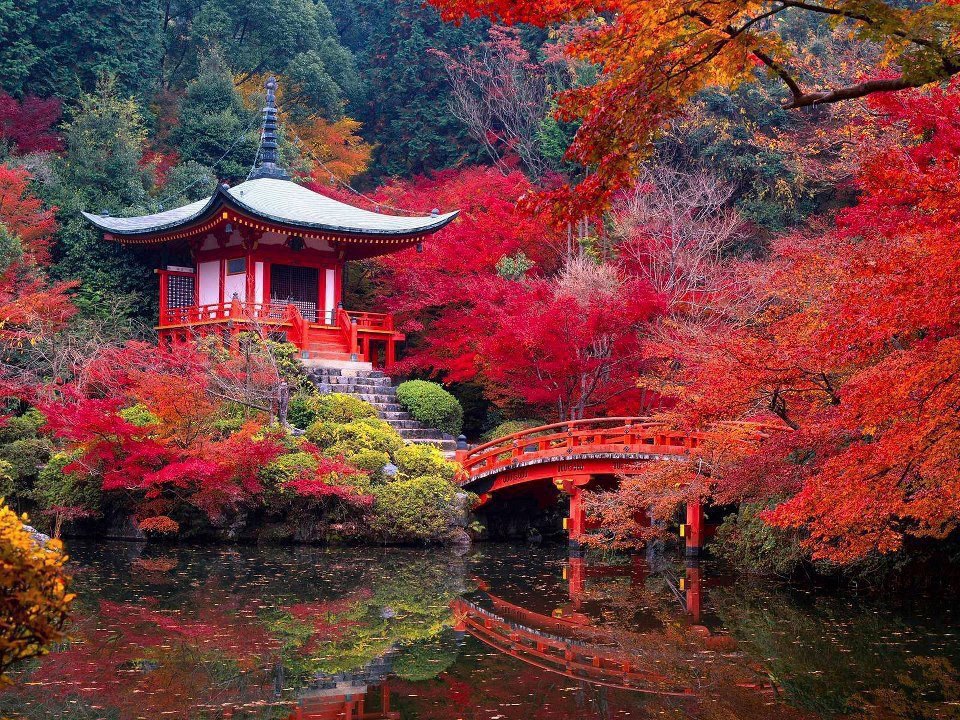 Best autumn landscapes