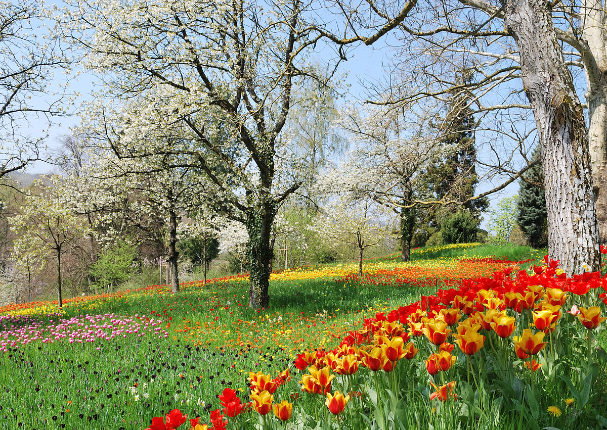 Spring vocabulary
